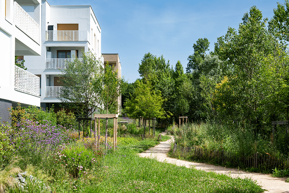 Immeubles de logements à Rillieux-la-Pape