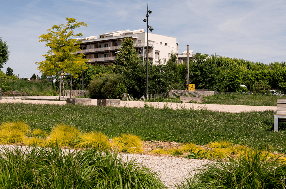Nouvel immeuble de logements depuis la parc Sime Veil à Villefranche-su-Saône